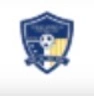 Young Apostles logo